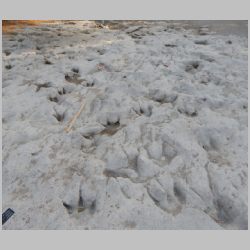 DSCN0729cr N side.jpg